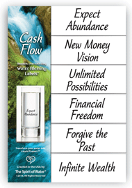 Cash Flow Mini