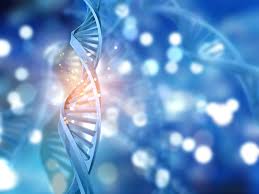 Metaphysical DNA - The magic and the mystery