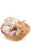 Seashell Power for Psychic Connection to Water & Healing